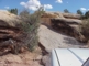 Elephant Hill back