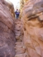 Joint Trail