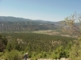 The Ridge