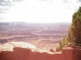 DHP view 1