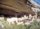 Cliff Palace