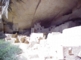 Cliff Palace