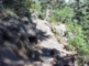 Trail