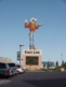 Wendover Cowboy